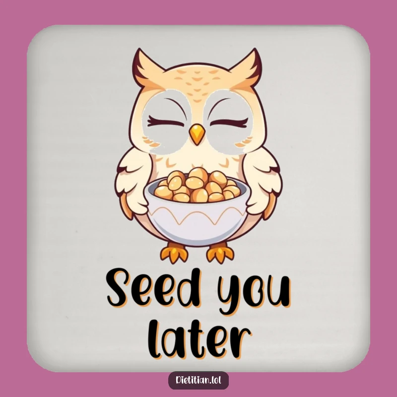 Funny Owl Seed Coasters: Protect Surfaces with Wise Humor